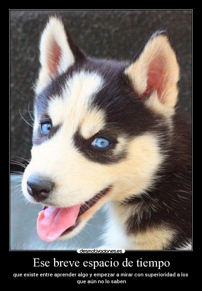 Ese breve espacio de tiempo - 