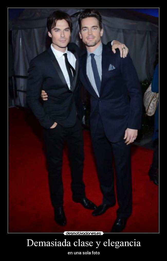 Demasiada clase y elegancia - en una sola foto