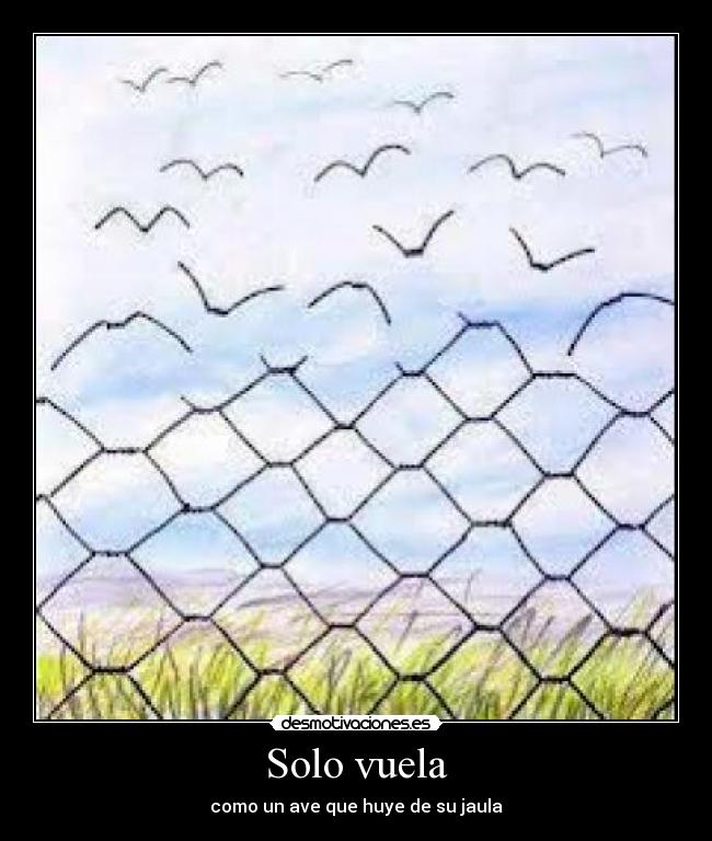 Solo vuela -