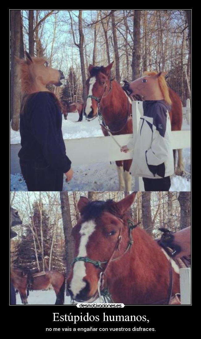 Estúpidos humanos, -