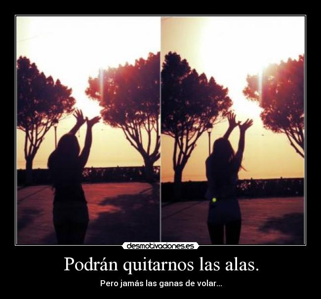 Podrán quitarnos las alas. - Pero jamás las ganas de volar...