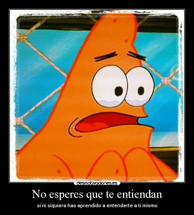 carteles hahaha hice esta foto cuando miraba bob esponja desmotivaciones