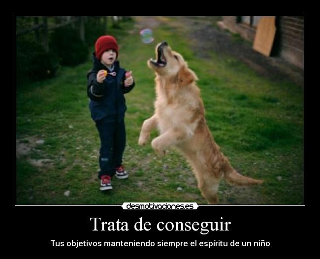 Trata de conseguir - Tus objetivos manteniendo siempre el espíritu de un niño