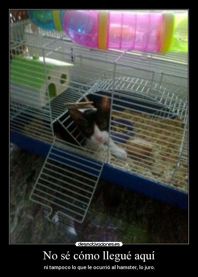 No sé cómo llegué aquí -