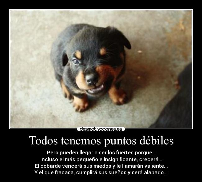 Todos tenemos puntos débiles - 