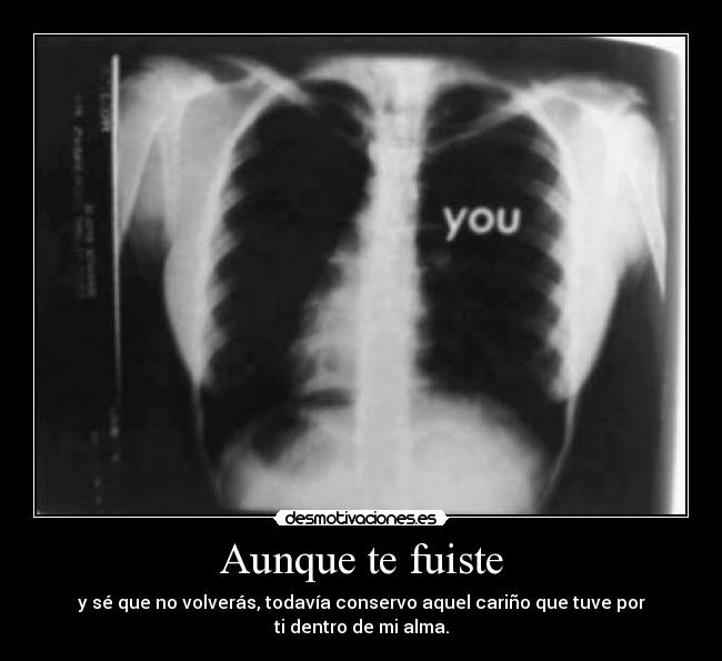 Aunque te fuiste - y sé que no volverás, todavía conservo aquel cariño que tuve por ti dentro de mi alma.