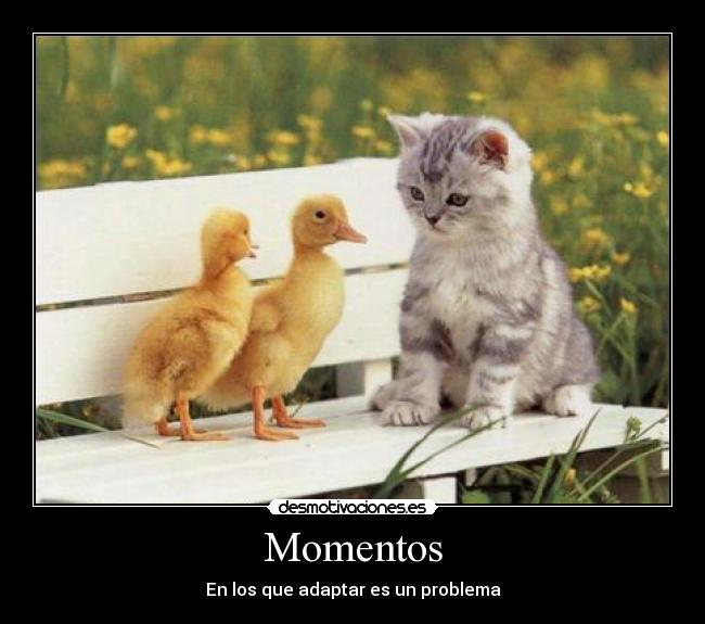 carteles adapatacion desmotivaciones