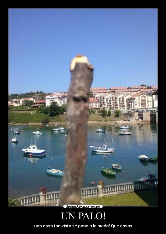 UN PALO! -