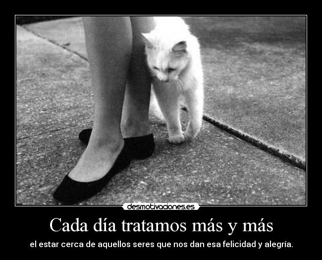 Cada día tratamos más y más - 