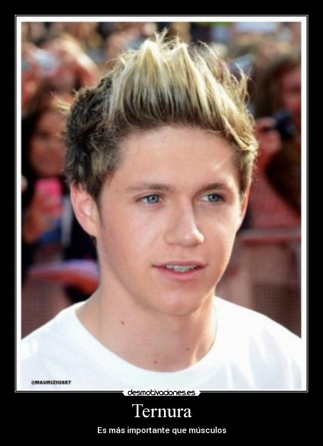 carteles one direction desmotivaciones