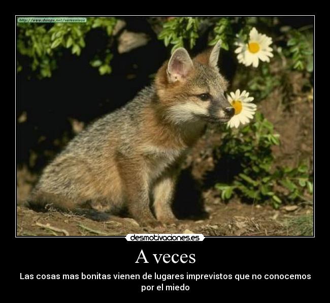 A veces -