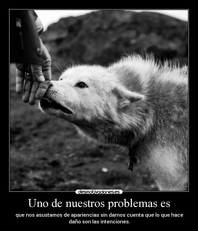 Uno de nuestros problemas es - que nos asustamos de apariencias sin darnos cuenta que lo que hace
daño son las intenciones.