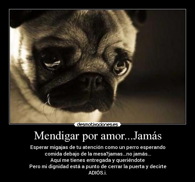 carteles mendigar pug puerta dignidad desmotivaciones