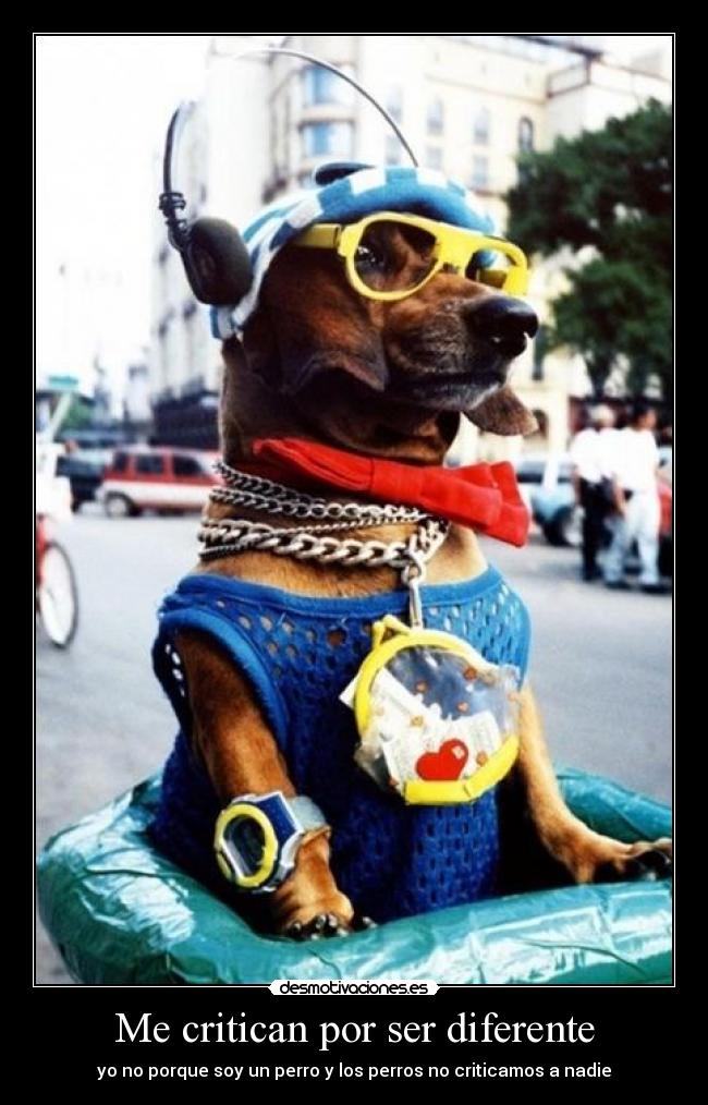 Me critican por ser diferente - yo no porque soy un perro y los perros no criticamos a nadie