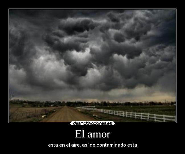 El amor -