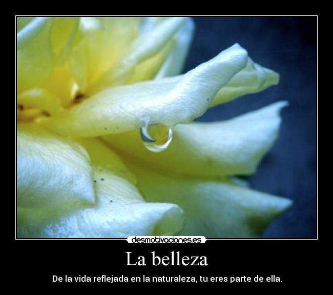 La belleza - De la vida reflejada en la naturaleza, tu eres parte de ella.