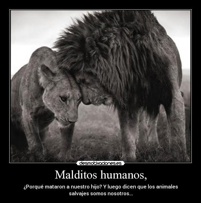 Malditos humanos, -