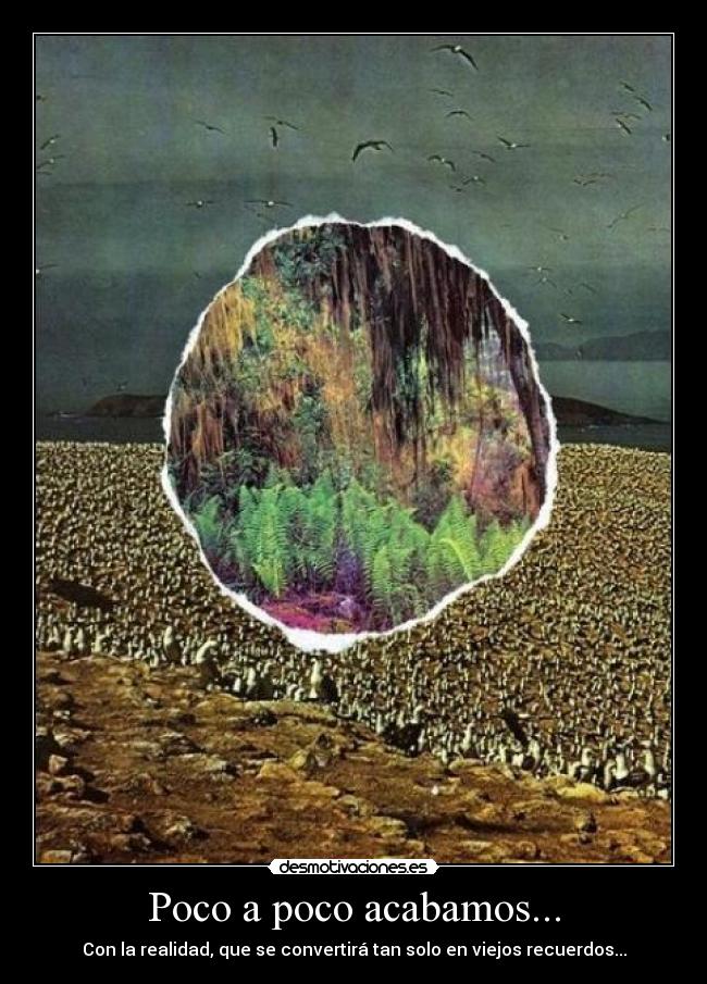 carteles recuerdos realidad bosque desmotivaciones