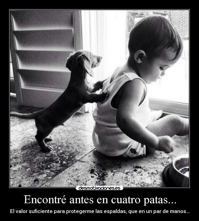 Encontré antes en cuatro patas... - El valor suficiente para protegerme las espaldas, que en un par de manos...
