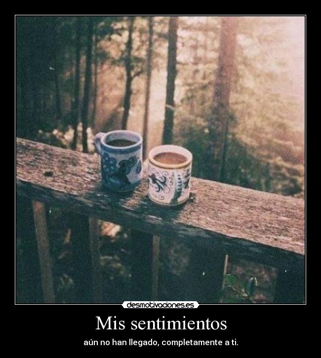 Mis sentimientos - aún no han llegado, completamente a ti.
