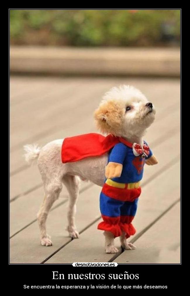 En nuestros sueños - Se encuentra la esperanza y la visión de lo que más deseamos