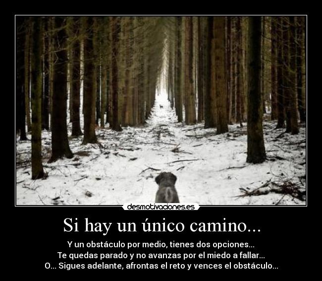 Si hay un único camino... - Y un obstáculo por medio, tienes dos opciones...
Te quedas parado y no avanzas por el miedo a fallar...
O... Sigues adelante, afrontas el reto y vences el obstáculo...