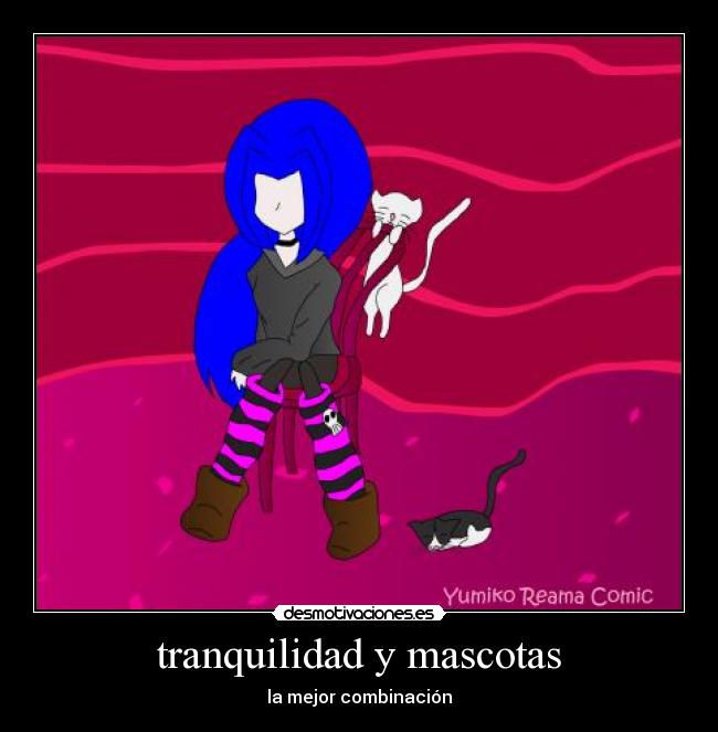 tranquilidad y mascotas - la mejor combinación