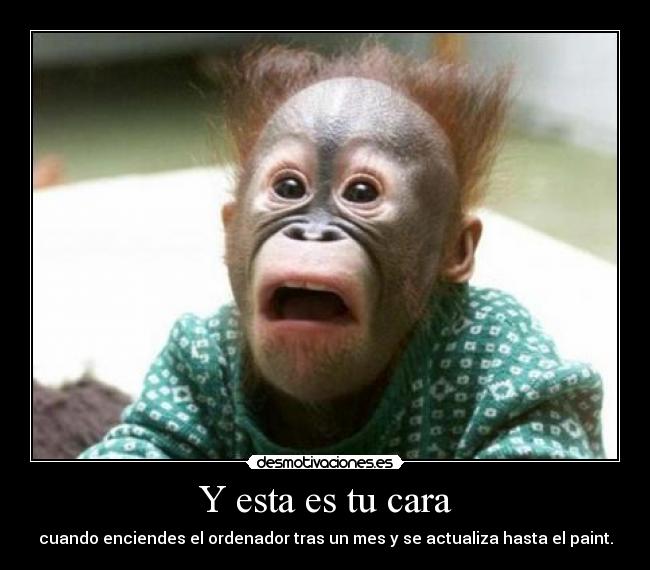 Y esta es tu cara - cuando enciendes el ordenador tras un mes y se actualiza hasta el paint.