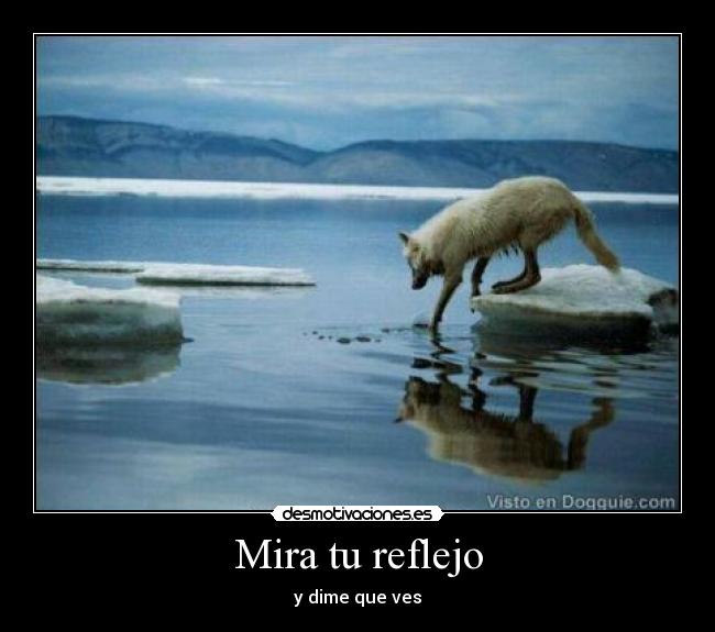 Mira tu reflejo -