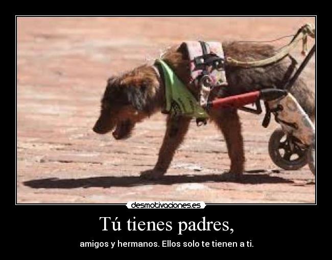 Tú tienes padres, - amigos y hermanos. Ellos solo te tienen a ti.