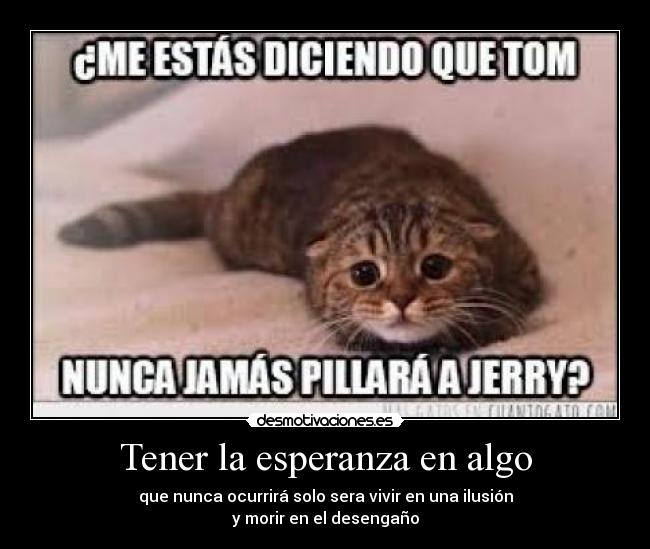 carteles esperanza miguel nar desmotivaciones