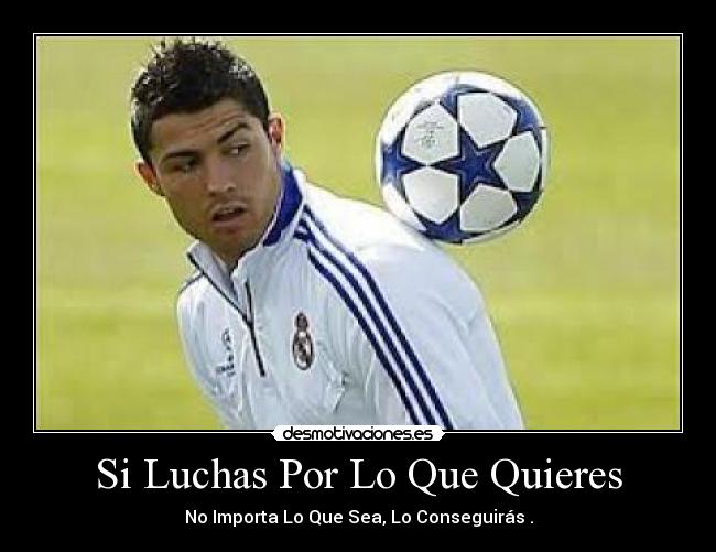 Si Luchas Por Lo Que Quieres - No Importa Lo Que Sea, Lo Conseguirás .