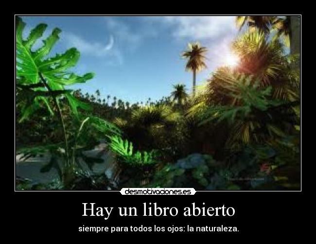 Hay un libro abierto - 