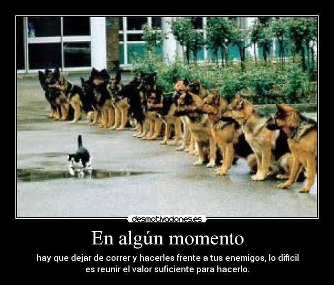 En algún momento - hay que dejar de correr y hacerles frente a tus enemigos, lo difícil
es reunir el valor suficiente para hacerlo.