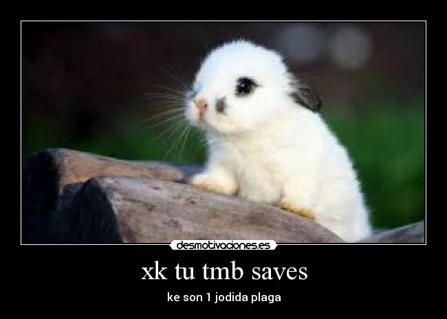 xk tu tmb saves -