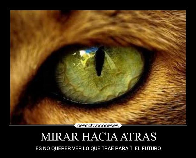 MIRAR HACIA ATRAS -
