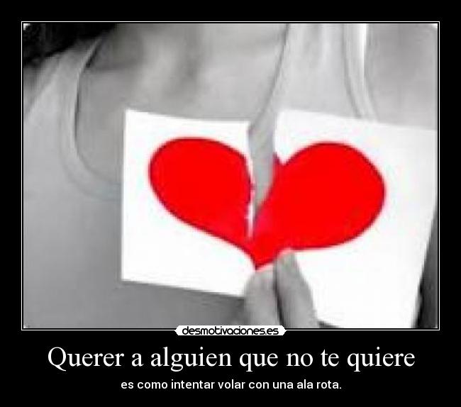 carteles amor correspondido todo mierda desmotivaciones