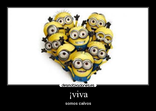 ¡viva -