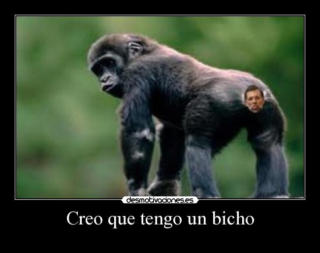 Creo que tengo un bicho - 