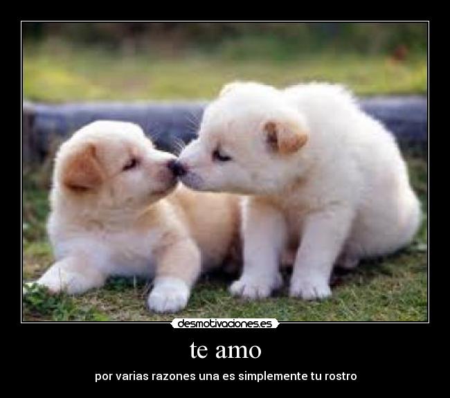 carteles sonreirr desmotivaciones