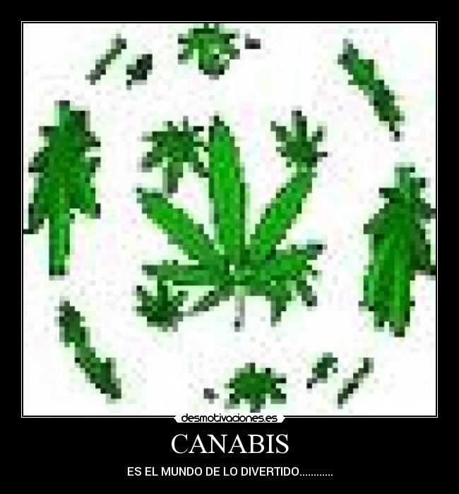 CANABIS -