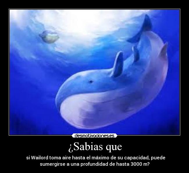 ¿Sabias que - si Wailord toma aire hasta el máximo de su capacidad, puede
sumergirse a una profundidad de hasta 3000 m?