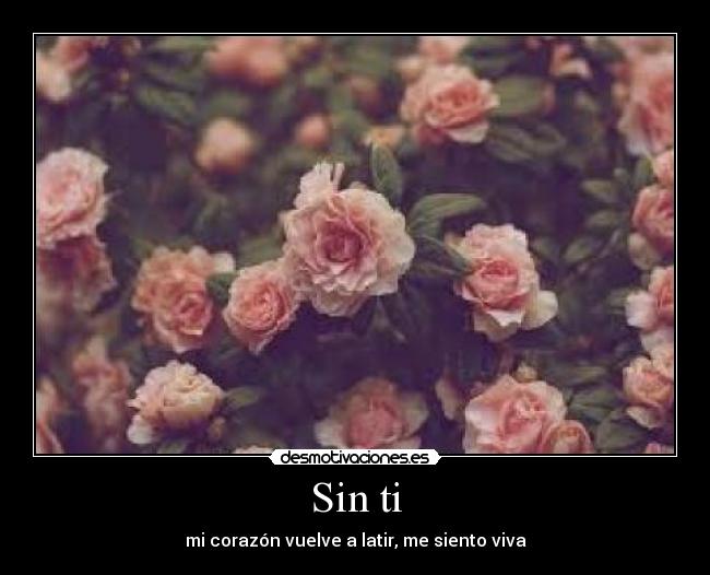 Sin ti -