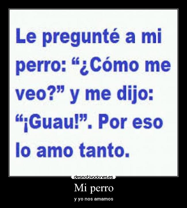 Mi perro - y yo nos amamos