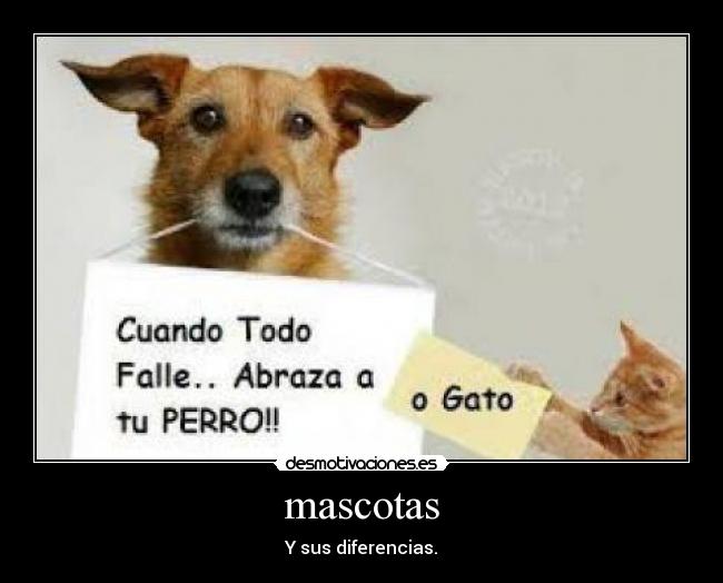 mascotas - Y sus diferencias.