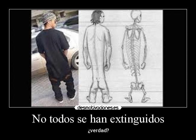 No todos se han extinguidos - ¿verdad?