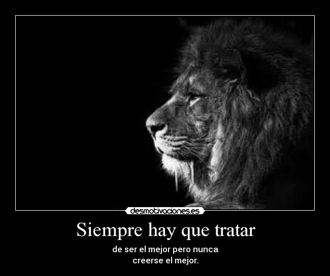 Siempre hay que tratar - 