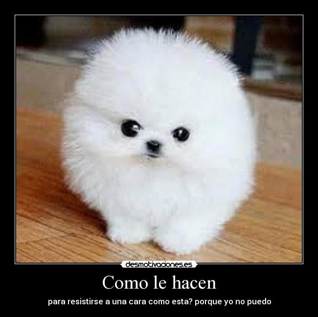 Como le hacen - para resistirse a una cara como esta? porque yo no puedo