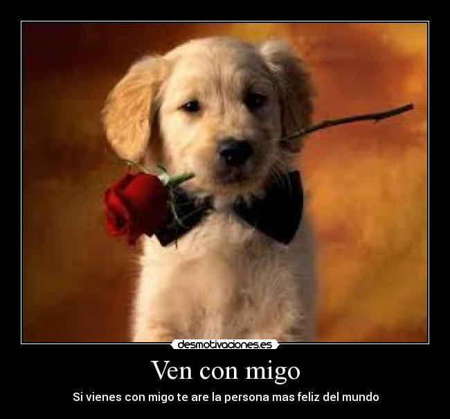 carteles ven con migo desmotivaciones