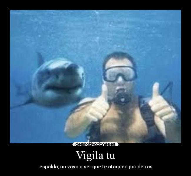 Vigila tu - espalda, no vaya a ser que te ataquen por detras
